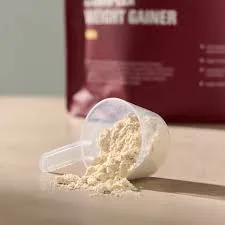 Gainer Protein booster