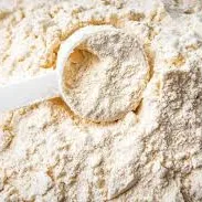 Protein (Whey) booster